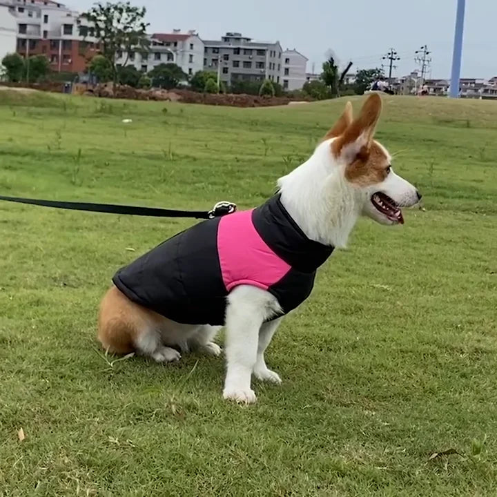 Dogs Winter Vest Zipper Waterproof