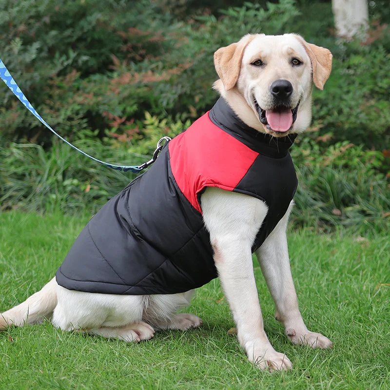 Dogs Winter Vest Zipper Waterproof